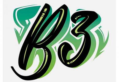 b3